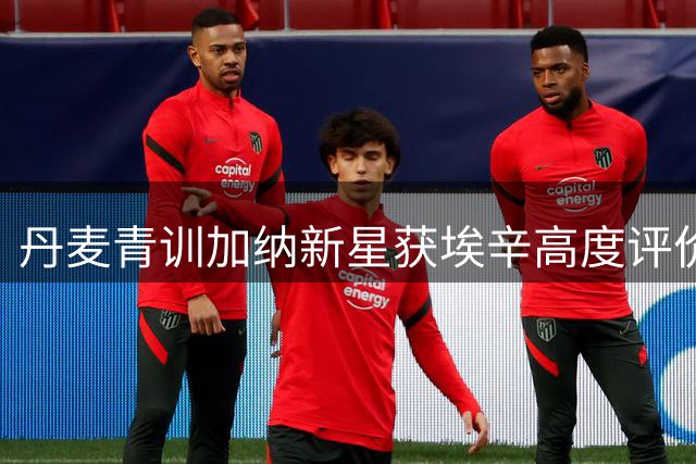 丹麦青训加纳新星获埃辛高度评价 考文垂签下中场猛将